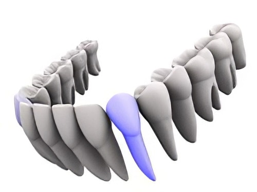 Informations dentiste Cudrefin